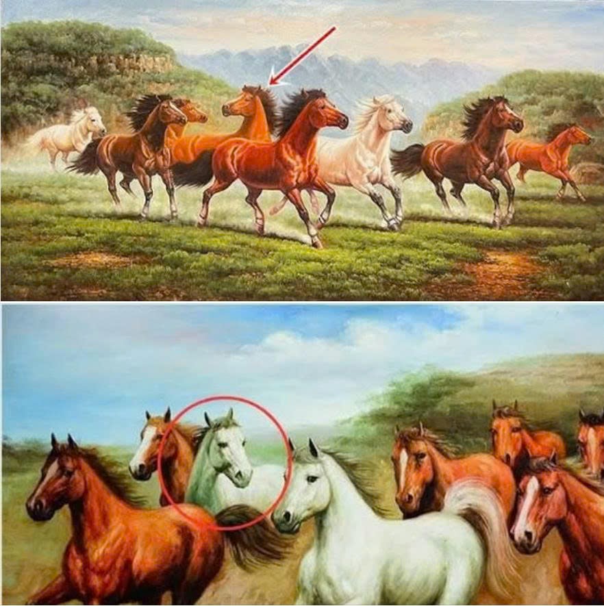 Vì sao trong bức tranh ‘Mã đáo thành công’ luôn có 1 con ngựa quay đầu nhìn lại