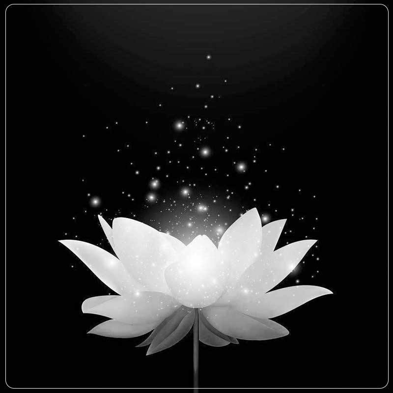 MẸ ĐƠN THÂN Ở TRỌ ĐÊM NÀO CŨNG CÓ ĐÀN ÔNG RA VÀO, CHỦ TRỌ NGHI NGÕ BẢO